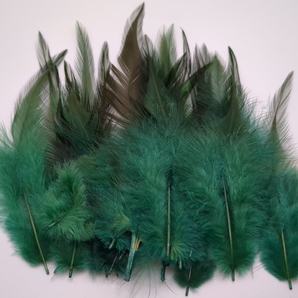 10 plumes de coq vert 8-15cm