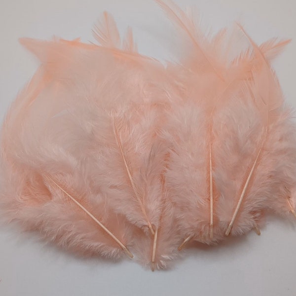 10 plumes de coq rose 8-15cm