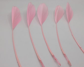 10 plumes  d'oie rose 15-20cm