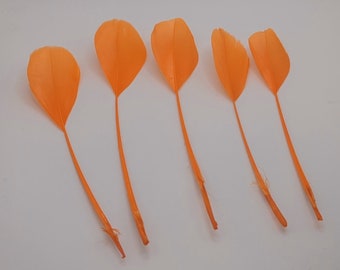 10 plumes  d'oie orange 15-20cm