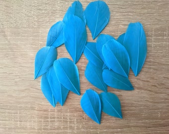 10 plumes d'oie turquoise 5/8 cm