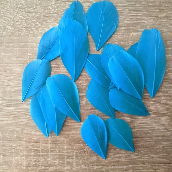 10 plumes d'oie turquoise 5/8 cm