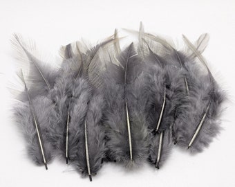 10 ou 50 plumes de coq grise 8-15cm