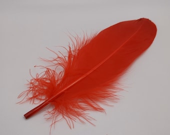 10 plumes d'oie rouge 15-20cm