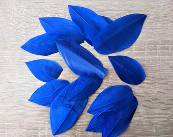 10 plumes d'oie bleu 5/8 cm