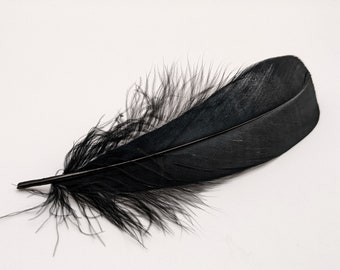 10 plumes d'oie noir 15-20cm