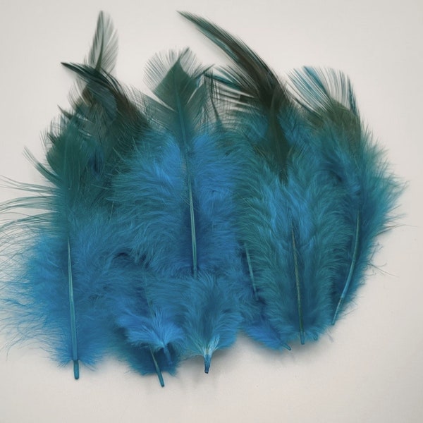10 ou 50 plumes de coq bleu turquoise 8-15 cm
