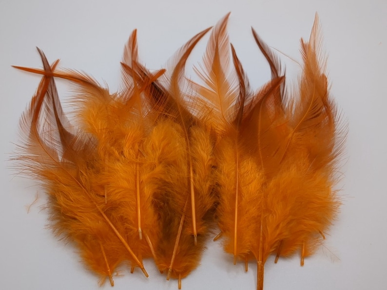 10 ou 50 plumes de coq orange 8-15cm image 1