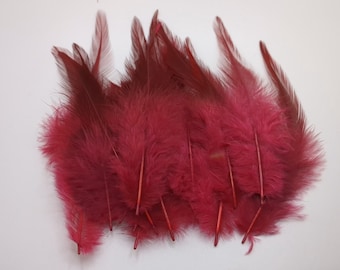 10 plumes de coq bordeaux 8-15cm