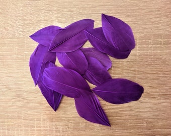 10 plumes d'oie violet 5/8 cm