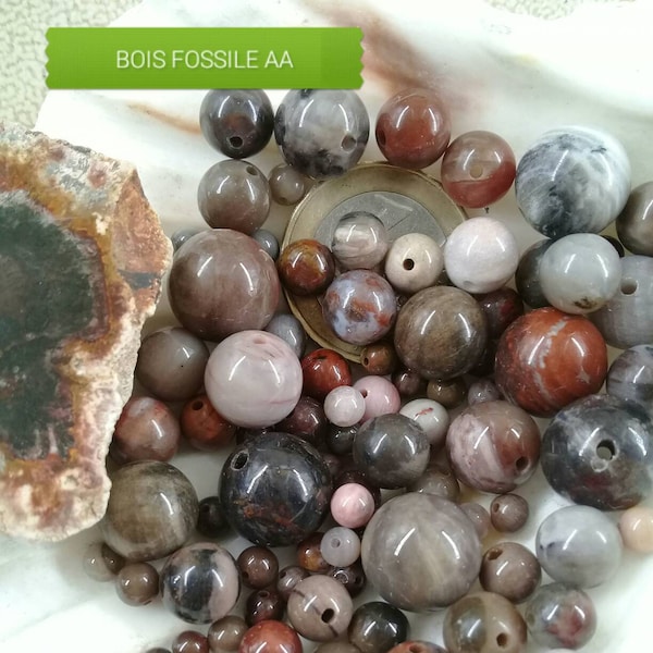 Lot de perles de BOIS FOSSILE AA, perle ronde lisse en véritable pierre naturelle semi précieuse, 4mm 6mm 8mm 10mm 12mm