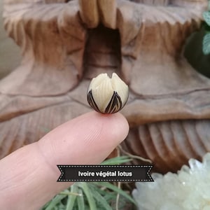 Peut inclure: Un petit jeton de lotus sculpté en ivoire végétal, de couleur blanche et noire. Le jeton est tenu par un doigt.