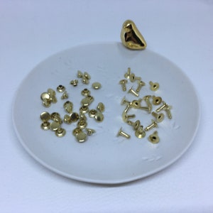 Peut inclure: Une assiette blanche avec une figurine d'oiseau dorée sur le dessus. L'assiette contient deux piles de rivets en métal doré. Une pile est constituée des têtes de rivets et l'autre pile est constituée des fonds de rivets.
