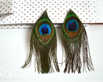 Peacock feathers height 10 - 12 cm, width 4 - 4.5 cm Set of 2