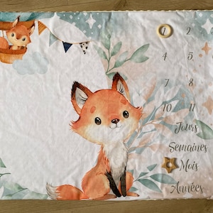 Custom Step Mat Cover