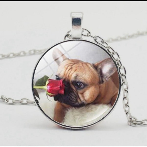 Collier Le chien bouledogue cabochon pendentif medaillon dome en verre et chaine
