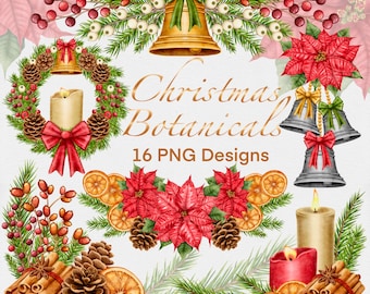 Composizioni botaniche di acquerello natalizie, illustrazioni clipart festive.