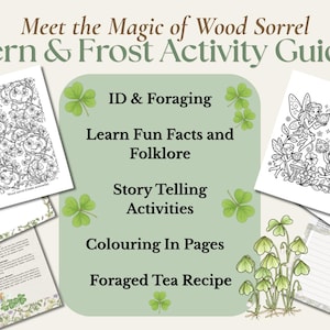 May include: A digital activity guide titled Meet the Magic of Wood Sorrel Fern & Frost Activity Guide, featuring pages with black and white line art, colouring pages of fairies, text about foraging, folklore, storytelling, and a foraged tea recipe.