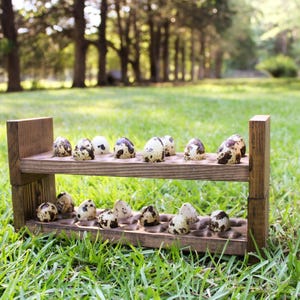 Wood Stackable Quail Egg Holder, Fresh Egg Holders, Quail Egg Holders, Egg Holder for Counter, Farm Egg Holder, Farm Decor, Egg Storage