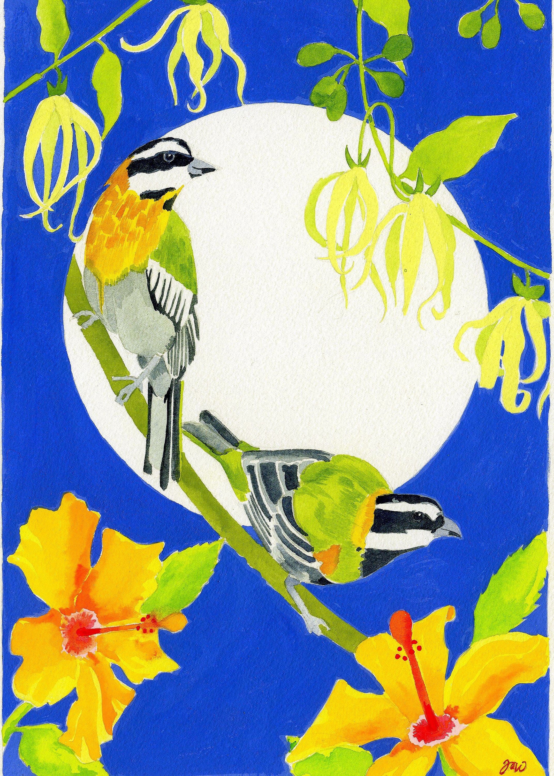 絵画 bird Spindalis Bird Art Print: Puerto Rican National Bird - Etsy