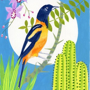Pu&ograve; includere: Un uccello arancione brillante e nero appollaiato su un ramo spinoso con foglie verdi. L'uccello &egrave; davanti a un cerchio bianco su uno sfondo blu. Ci sono tre piante di cactus verdi nell'angolo in basso a destra dell'immagine.