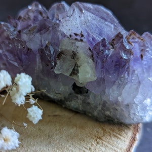 Geode Druse amethyst Brazil 162 g lithotherapy mineral crystals collection cabinet of curiosity