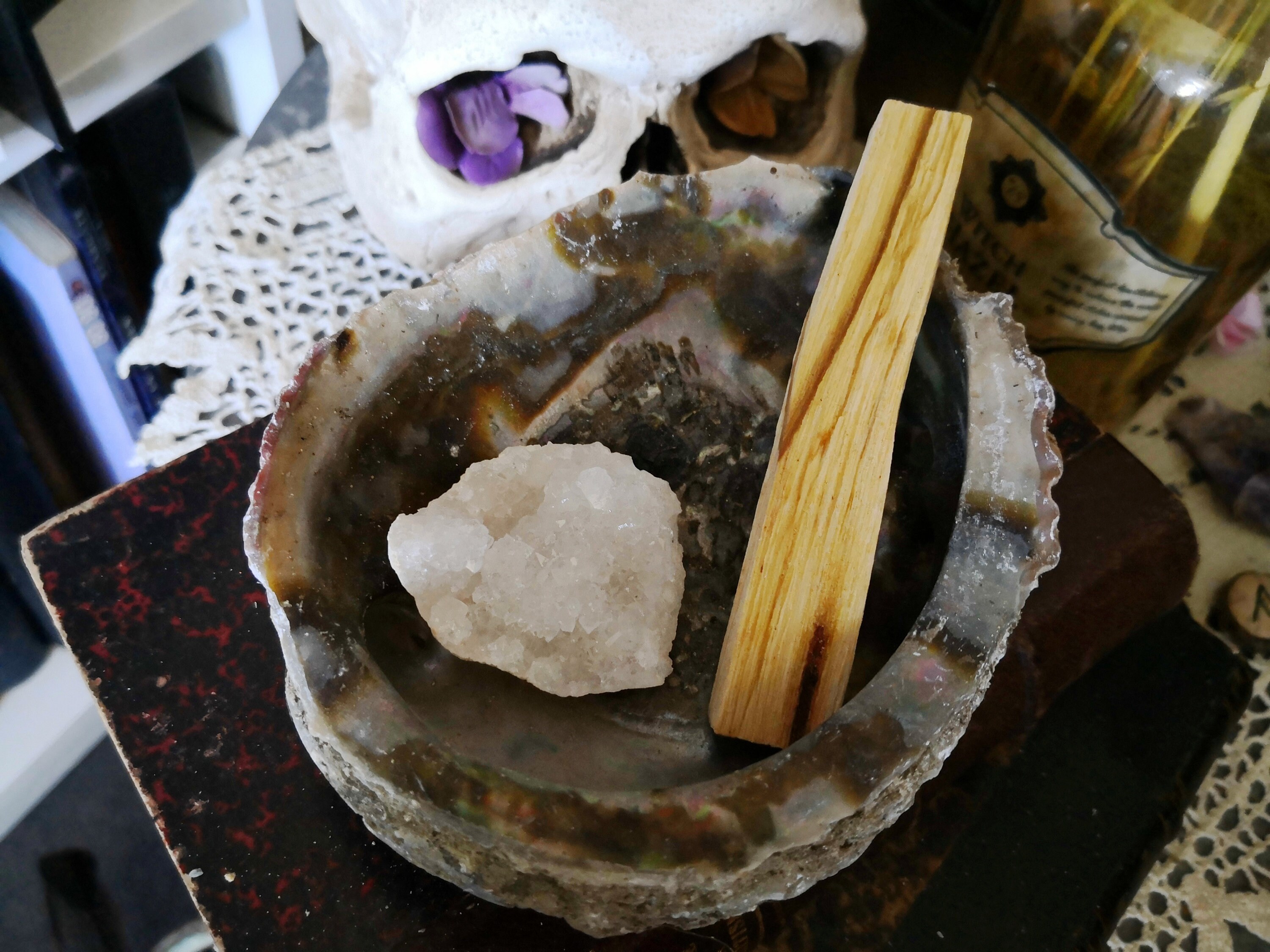 Kit Purification Coquille Ormeau Cristal Palo Santo Pour Nettoyage Méditation Chaman