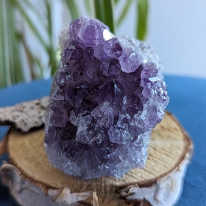 Geode Druse amethyst Brazil 1062 carats lithotherapy mineral crystals collection cabinet of curiosity