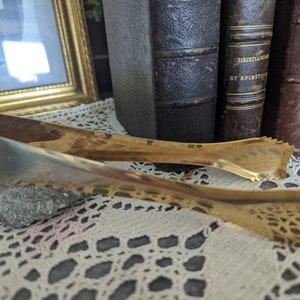 Charcoal tongs pagan altar incense witch decoration witchcraft witch vintage golden
