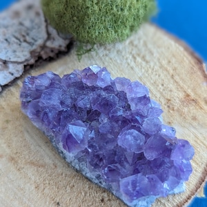 Geode Druse amethyst Brazil 189 carats lithotherapy mineral crystals curiosity cabinet collection