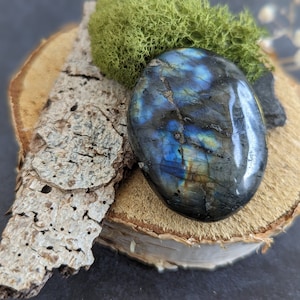 Polished blue green labradorite pebble lithotherapy mineral crystals curiosity cabinet collection