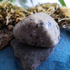 Polished dendritic agate pebble lithotherapy mineral crystals curiosity cabinet collection