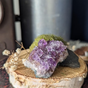 Geode Druse amethyst Brazil 49 g lithotherapy mineral crystals collection cabinet of curiosities