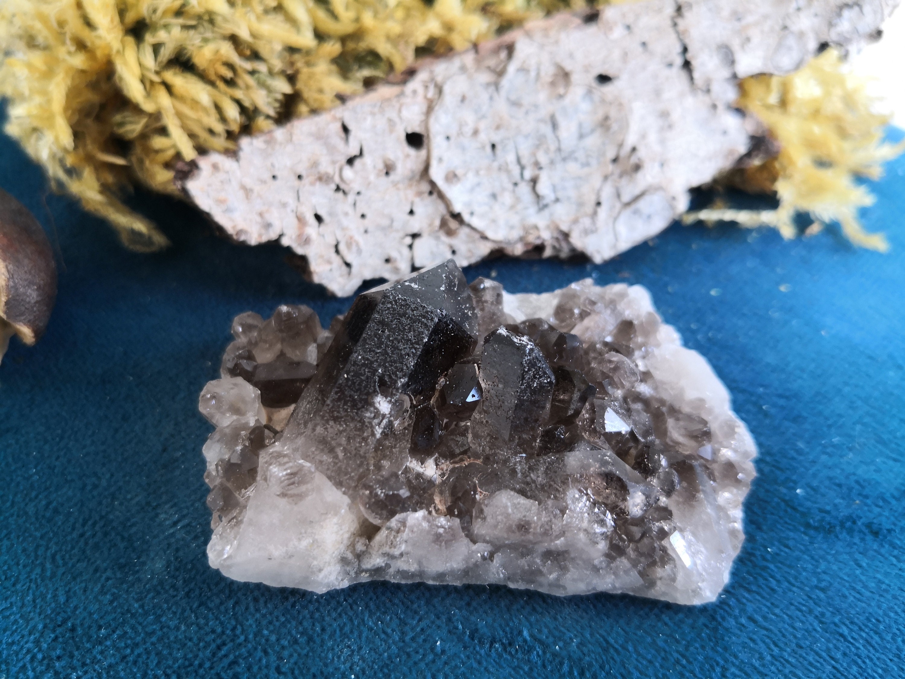 Druse Géode Quartz Fumé Cristal Brésil Soin Lithothérapie Minéral Collection