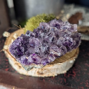 Geode Druse amethyst Brazil 183 g lithotherapy mineral crystals collection cabinet of curiosities