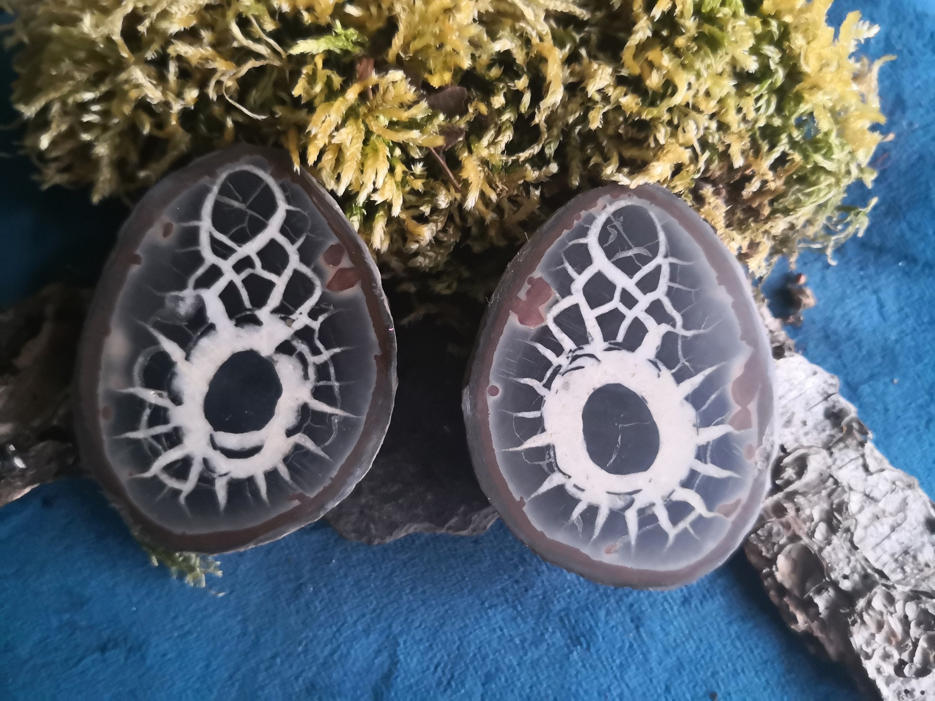 Septaria Nodule Oeuf Dragon Géode