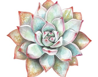 Succulent Watercolor - Cactus Art Print - Succulent Painting - Southwestern Painting -Cacti Art- Vintage -Floral Cactus- Botanical Art Print