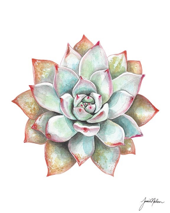 多肉植物の水彩画 - サボテンのアートプリント - 多肉植物の絵画 - 南