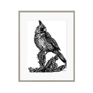 Bird Pen Illustration - Bird on Cactus - Pen and Ink - Animal Illustration - Black and White - Hand drawn -Detailed Art Print - Sketch - Art