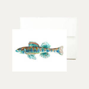 Carte de vœux aquarelle de poisson - Peinture de plage - Détaillée - Tropicale - Art de la rivière - Alabama Darter - Illustration de la faune - Art - Papeterie