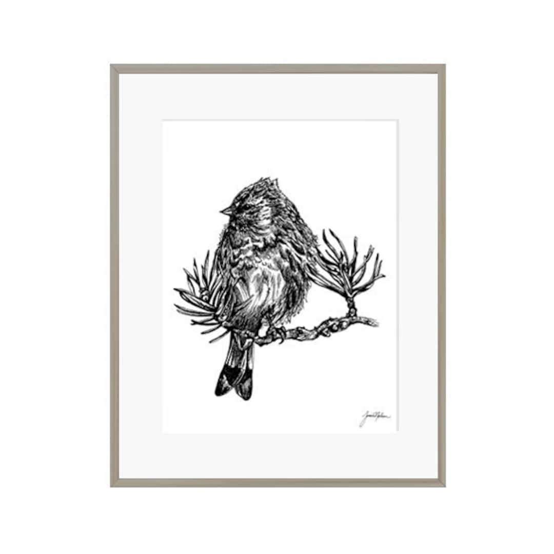 Bird Pen Illustration - Vogel auf Ast - Feder und Tusche - Tier  Illustration - schwarz und weiß - Birkhuhn - Detailkunst Druck - Skizze -  Kunst - Etsy Österreich, image size:1080x1080