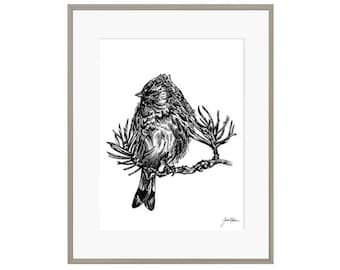 Bird Pen Illustration - Bird on Branch - Pen and Ink - Animal Illustration - Black and White - Redpoll - Detailed Art Print - Sketch - Art