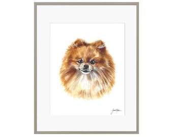 Pomeranian Watercolor Painting - Pomeranian Puppy Illustration - Dog Art - Realistic Animal Art- Detailed Art Print - Watercolor Art