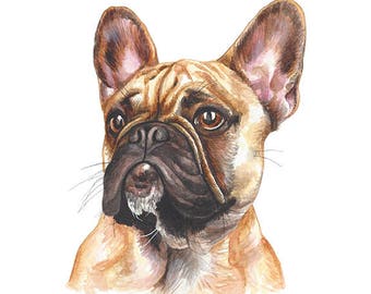 French Bulldog Watercolor Painting - French Bulldog Puppy Print - Dog Art - Realistic Animal Art- Frenchie Art Print - Bulldog Art - Gift