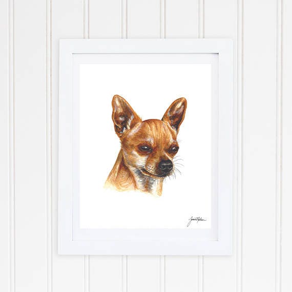 Amazon.co.jp: 油絵 数字キットによる絵画 チワワ犬 絵画塗り絵