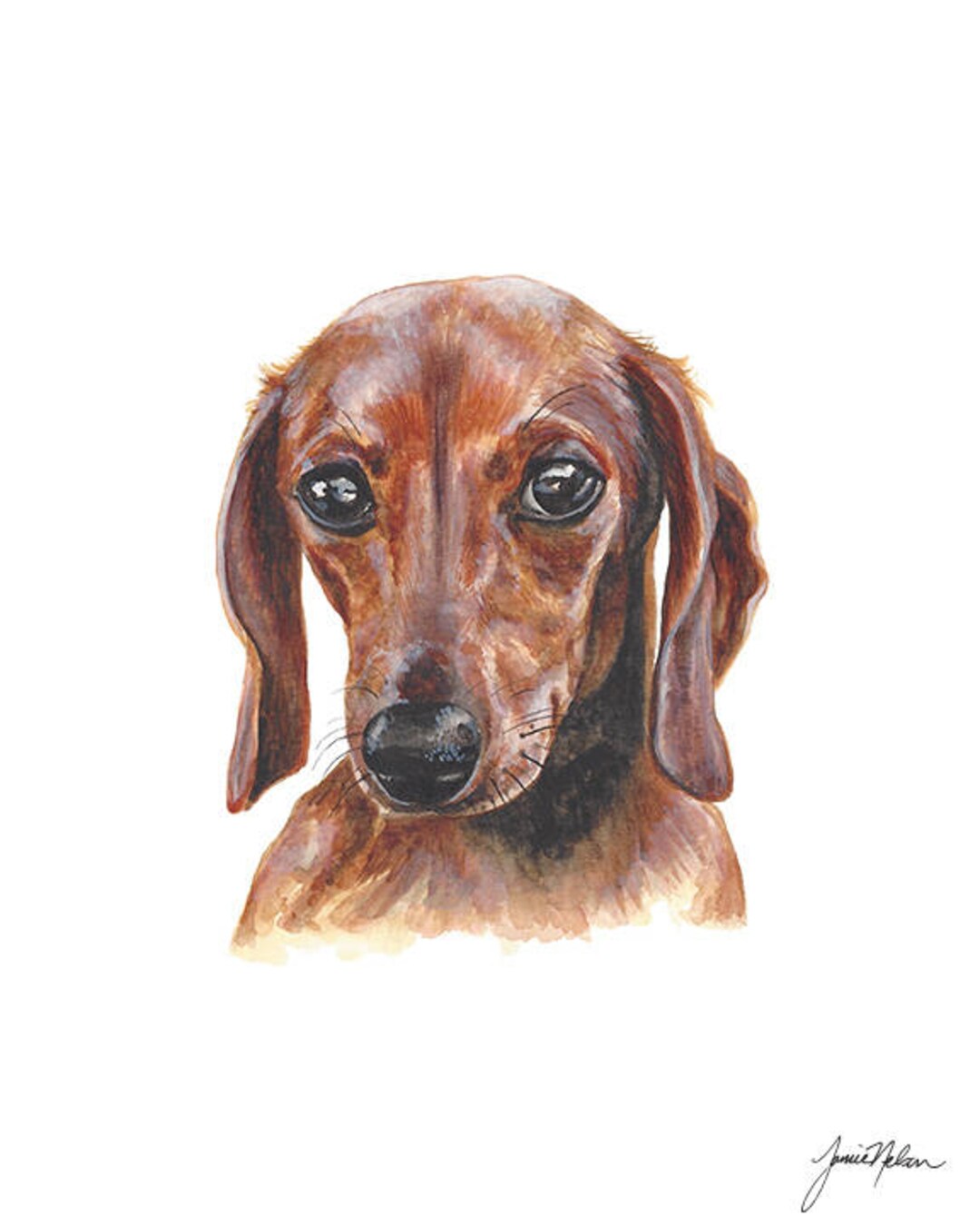 Dachshund Watercolor Painting - Dachshund Puppy Print - Dog Art ...