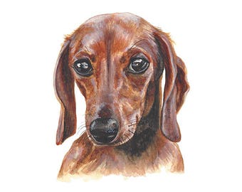 Dachshund Watercolor Painting - Dachshund Puppy Print - Dog Art - Realistic Animal Art- Weiner Dog Art Print - Dog Portrait - Gift - Pet Art