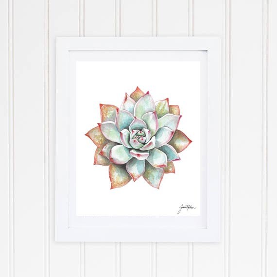 多肉植物の水彩画 - サボテンのアートプリント - 多肉植物の絵画 - 南