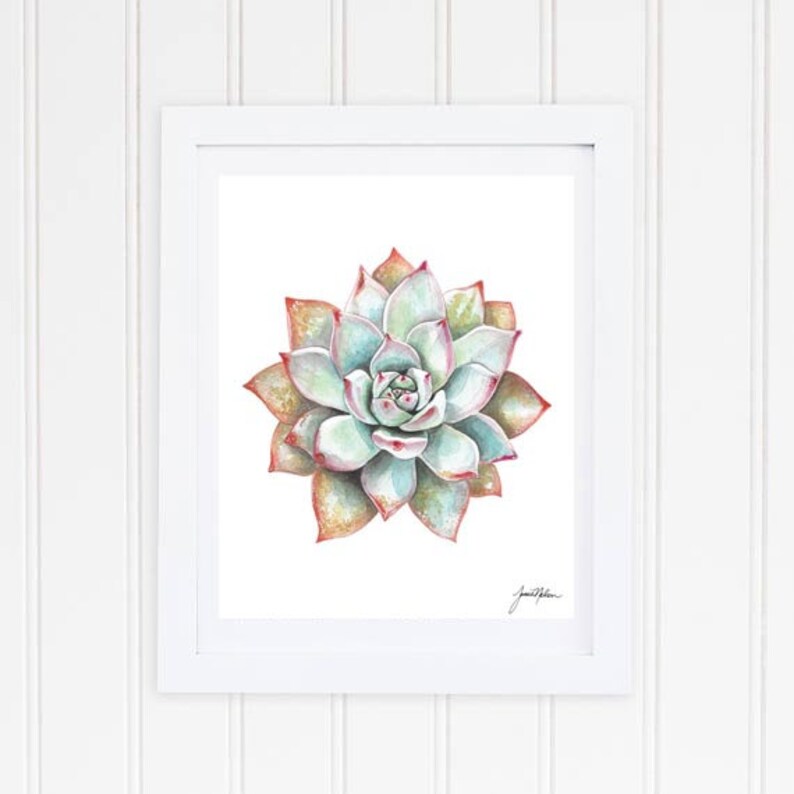 Download Succulent Watercolor Succulent Painting Southwestern Painting Cacti Art Vintage Floral Cactus Botanical Art Print Cactus Art Print Watercolor Art Collectibles Deshpandefoundationindia Org