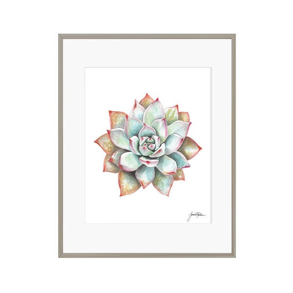 多肉植物の水彩画 - サボテンのアートプリント - 多肉植物の絵画